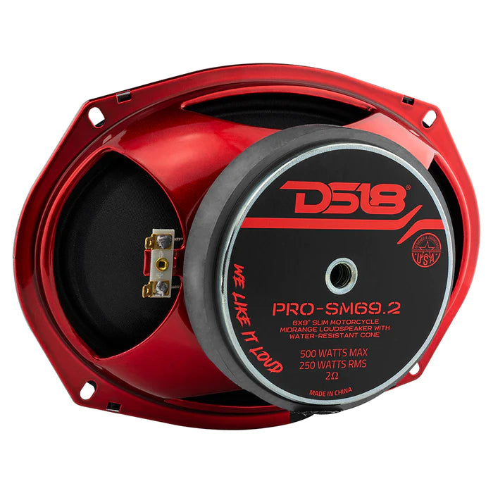 DS18 PRO 6x9" Shallow Water resistant Mid-Range Loudspeaker 250 Watts Rms 2-Ohm (Single Unit)